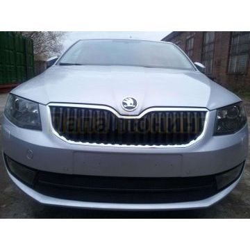Защита радиатора черная РусСталь для Skoda Octavia A7 2013- Защита радиатора черная РусСталь для Skoda Octavia A7 2013-