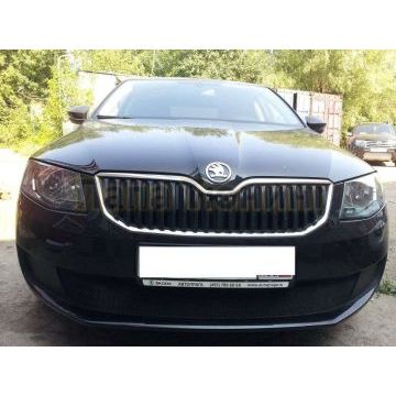 Защита радиатора черная для Active РусСталь для Skoda Octavia A7 2013- Защита радиатора черная для Active РусСталь для Skoda Octavia A7 2013-
