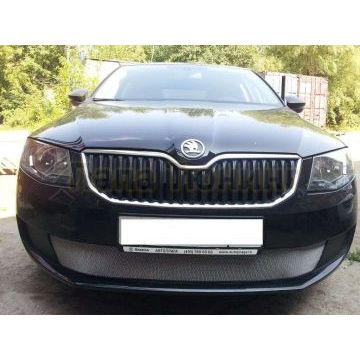 Защита радиатора хром для Active РусСталь для Skoda Octavia A7 2013- Защита радиатора хром для Active РусСталь для Skoda Octavia A7 2013-