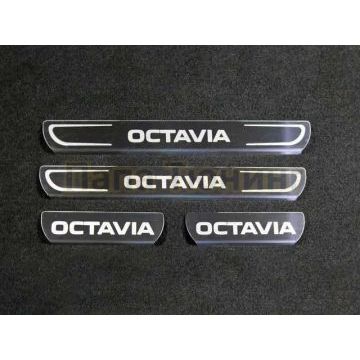 Рамки номерного знака 2 штуки ТСС для Lada Granta 2011- Рамки номерного знака 2 штуки ТСС для Lada Granta 2011-