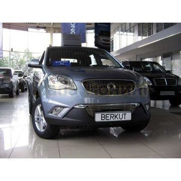 Накладка на решетку бампера 12 мм РусСталь для Ssangyong Actyon 2010-2013