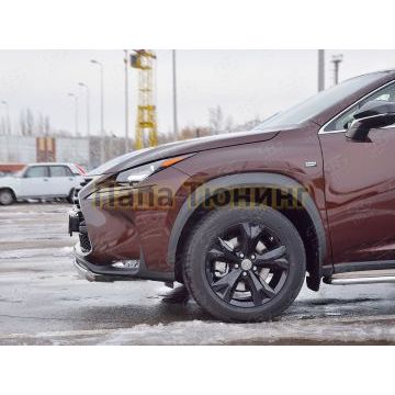 Защита передняя овальная 75х42 мм РусСталь для Lexus NX-200 2014-2017