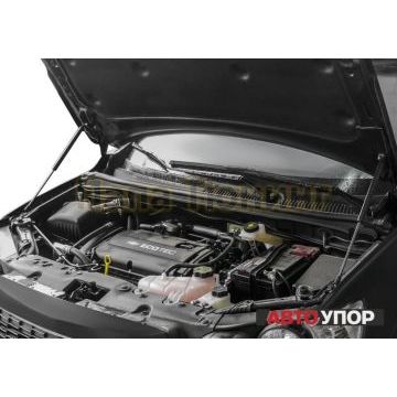 Упоры капота АвтоУпор 2 штуки для Chevrolet Aveo T300 2012-2015
