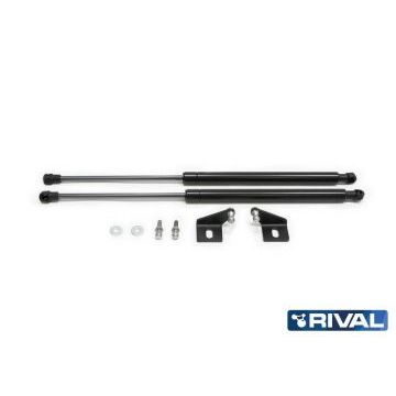 Упоры капота Rival 2 штуки для Chevrolet Aveo 2012-2015