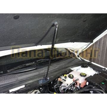 Упор капота для Chevrolet Cruze ТСС для Chevrolet Cruze 2012-2015 Упор капота для Chevrolet Cruze ТСС для Chevrolet Cruze 2012-2015