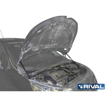 Упоры капота Rival 2 штуки для Citroen C4 2011-