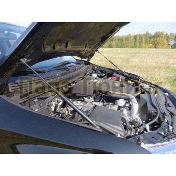 Упоры капота ТСС комплект для Fiat Fullback 2016- Упоры капота ТСС комплект для Fiat Fullback 2016-