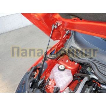 Упор капота для Ford EcoSport ТСС для Ford EcoSport 2014-2018