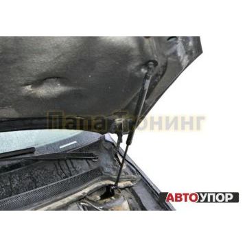Упоры капота АвтоУпор 2 штуки для Ford Focus 2 2005-2008