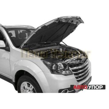 Упоры капота АвтоУпор 2 штуки для Haval H2 2014-