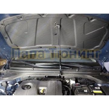 Упор капота ТСС для Hyundai Elantra 2019- Упор капота ТСС для Hyundai Elantra 2019-