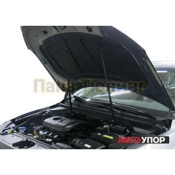 Упоры капота АвтоУпор 2 штуки для Hyundai Elantra 2019-