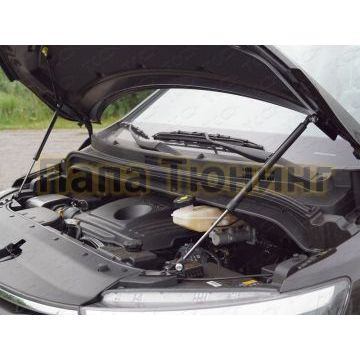 Упор капота ТСС комплект для Hyundai H-1 Starex 2019- Упор капота ТСС комплект для Hyundai H-1 Starex 2019-