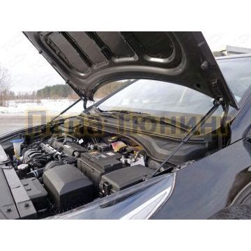 Упоры-амортизаторы капота 2 штуки ТСС для Hyundai Solaris 2018-