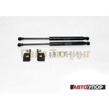 Упоры капота АвтоУпор 2 штуки для Hyundai Solaris 2010-2017