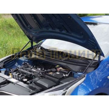 Упоры капота ТСС комплект для Kia Rio X-line 2017- Упоры капота ТСС комплект для Kia Rio X-line 2017-