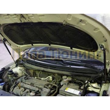 Упор капота для Kia Rio ТСС для Kia Rio 2011-2015 Упор капота для Kia Rio ТСС для Kia Rio 2011-2015