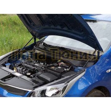 Упоры капота ТСС комплект для Kia Rio 2018-2019