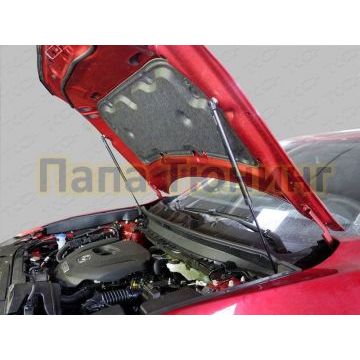 Упор-амортизаторы капота ТСС для Mazda CX-9 2017-