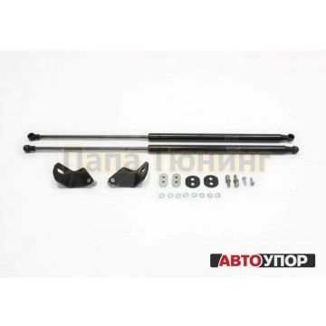 Амортизаторы капота, 2 шт. Rival для Mercedes-Benz GLA I / I рестайлинг 2013-2017 / 2017-/Mercedes-Benz A-Class III / III рестайлинг 2012-2015 / 2015-2018