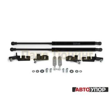 Амортизаторы капота, 2 шт. Rival для Nissan Pathfinder III R51 / III R51 рестайлинг 2004-2010 / 2010-2014/Nissan Navara (Frontier) III D40/ III D40 рестайлинг 2004-2010 / 2010-2015