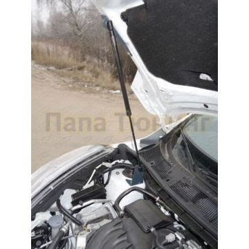 Упор капота для Nissan Pathfinder ТСС для Nissan Pathfinder 2014-