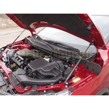 Упор капота ТСС 2 штуки для Nissan Qashqai 2014-2019
