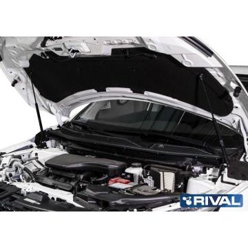 Упоры капота Rival 2 штуки для Nissan Qashqai 2014-2019