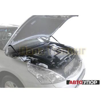 Упоры капота АвтоУпор 2 штуки для Nissan Teana 2008-2014