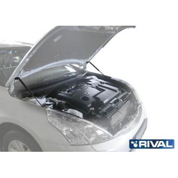 Упоры капота Rival 2 штуки для Nissan Teana 2008-2014