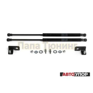 Упоры капота АвтоУпор 2 штуки для Nissan Tiida 2004-2014
