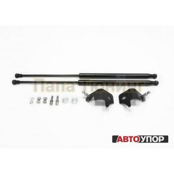 Упоры капота АвтоУпор 2 штуки для Nissan Tiida 2015-2018