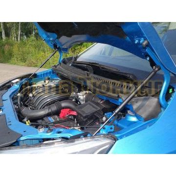 Упор капота ТСС 2 штуки для Renault Kaptur 2016-