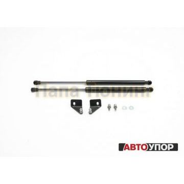 Амортизаторы капота, 2 шт. Rival для Renault Sandero StepWay I 2010-2014/Renault Sandero I 2009-2014