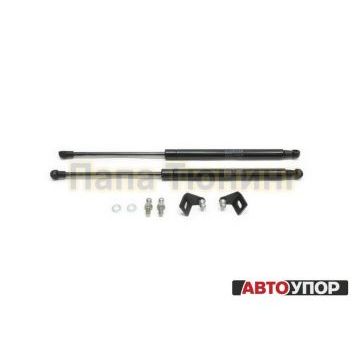 Амортизаторы капота, 2 шт. Rival для Skoda Fabia II / II рестайлинг 2007-2010 / 2010-2014/Skoda Roomster I / I рестайлинг 2006-2010 / 2010-2015