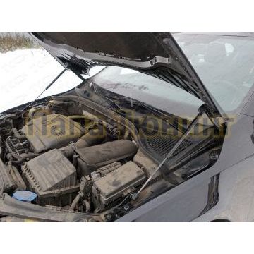 Упор капота ТСС 2 штуки для Skoda Octavia A7 2013- Упор капота ТСС 2 штуки для Skoda Octavia A7 2013-