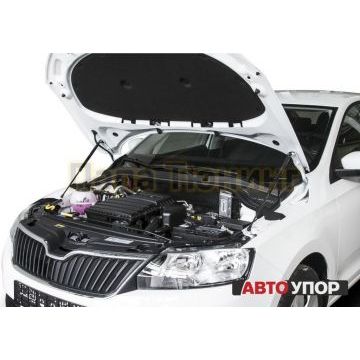 Амортизаторы капота, 2 шт. Rival для Volkswagen Polo Седан VI 2020-/Skoda Rapid I / I рестайлинг / II 2012-2017 / 2017-2020 / 2020 -