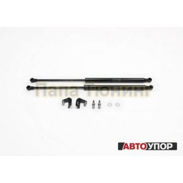 Амортизаторы капота, 2 шт. Rival для Volkswagen Polo Седан VI 2020-/Skoda Rapid I / I рестайлинг / II 2012-2017 / 2017-2020 / 2020 -