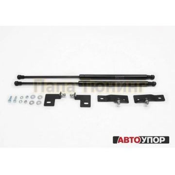 Упоры капота АвтоУпор 2 штуки для Suzuki Grand Vitara 2005-2015 Упоры капота АвтоУпор 2 штуки для Suzuki Grand Vitara 2005-2015