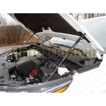 Упоры-амортизаторы капота 2 штуки ТСС для Toyota Highlander 2017-2020