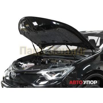 Упоры капота АвтоУпор 2 штуки для Toyota RAV4 2013-2019