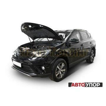 Упоры капота АвтоУпор 2 штуки для Toyota RAV4 2013-2019