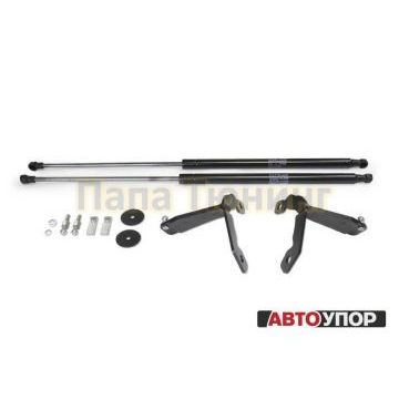 Упоры капота АвтоУпор 2 штуки для Toyota RAV4 2013-2019