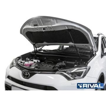 Упоры капота Rival 2 штуки для Toyota RAV4 2013-2019
