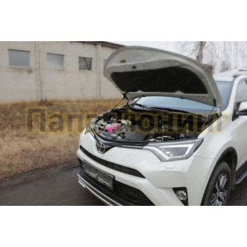 Упор капота для Toyota RAV4 ТСС для Toyota RAV4 2015-2019