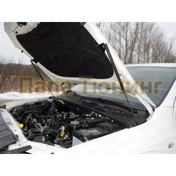 Упор капота ТСС 2 штуки для Volkswagen Amarok 2016-