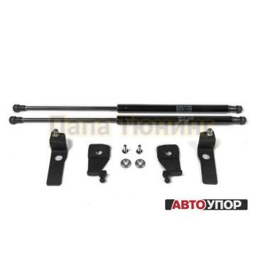 Упоры капота АвтоУпор 2 штуки для Volkswagen Tiguan 2011-2016