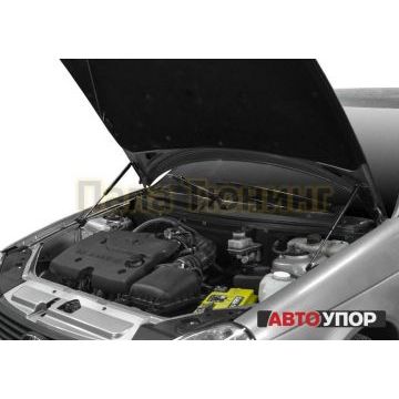 Упоры капота АвтоУпор 2 штуки для Lada Priora 2007-2018