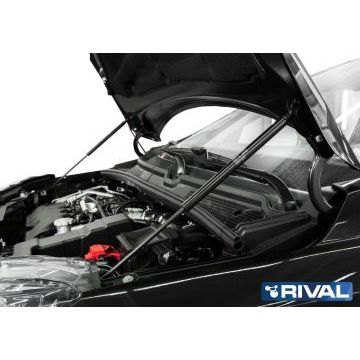 Упоры капота Rival 2 штуки для Lada X-RAY/Lada X-RAY Cross 2016-