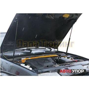 Упоры капота АвтоУпор 2 штуки для ВАЗ 2114 2003-2014